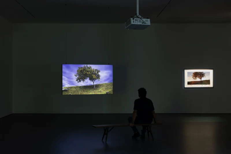 Installation shot from David Claerbout: Repose, @ Esther Schipper