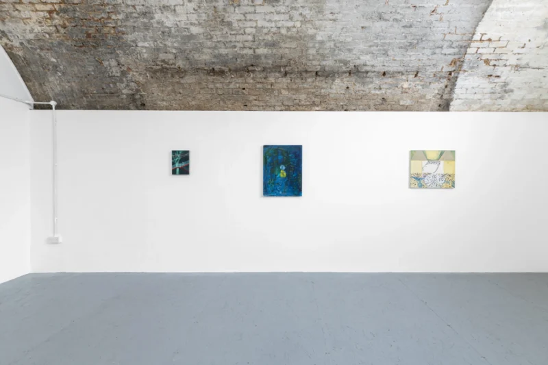 Installation shot from The Secret Garden, @ FreddieFoulkes Gallery