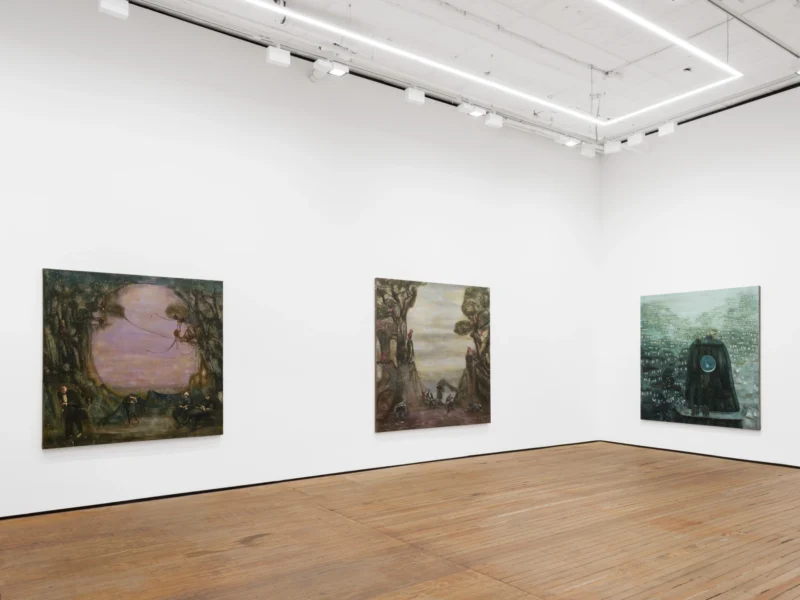 Installation shot from Matthias Franz: die dünne Haut der Zivilisation, @ GRIMM
