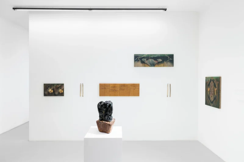 Installation shot from Focus On: Franco Andrés: Madly meeting logically in this hour., @ Galerie Kandlhofer
