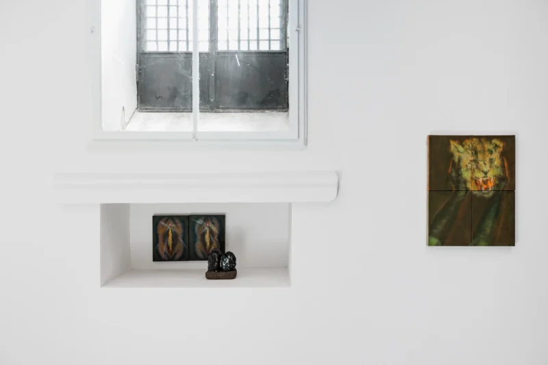 Installation shot from Focus On: Franco Andrés: Madly meeting logically in this hour., @ Galerie Kandlhofer