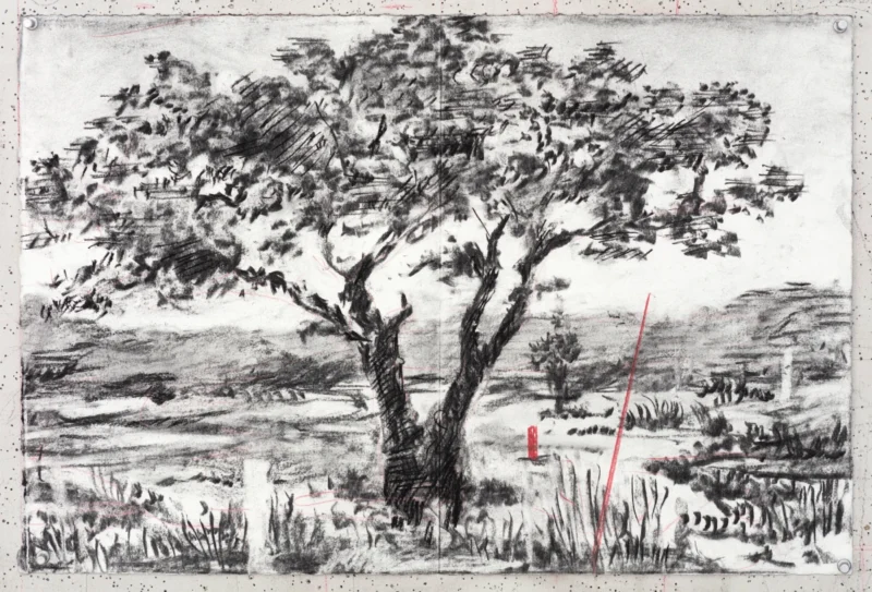 William Kentridge, Drawing for L'Orfeo (Diverging Tree), 2025