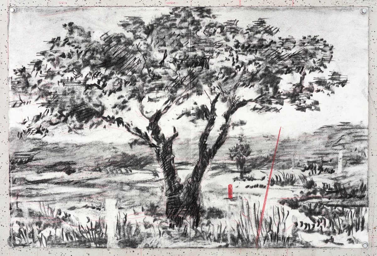 William Kentridge, Drawing for L'Orfeo (Diverging Tree), 2025