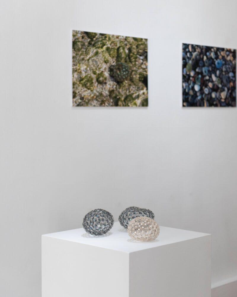 Installation shot from Hyejeong Ko: Silver Shadows, @ Galerie Maria Wettergren