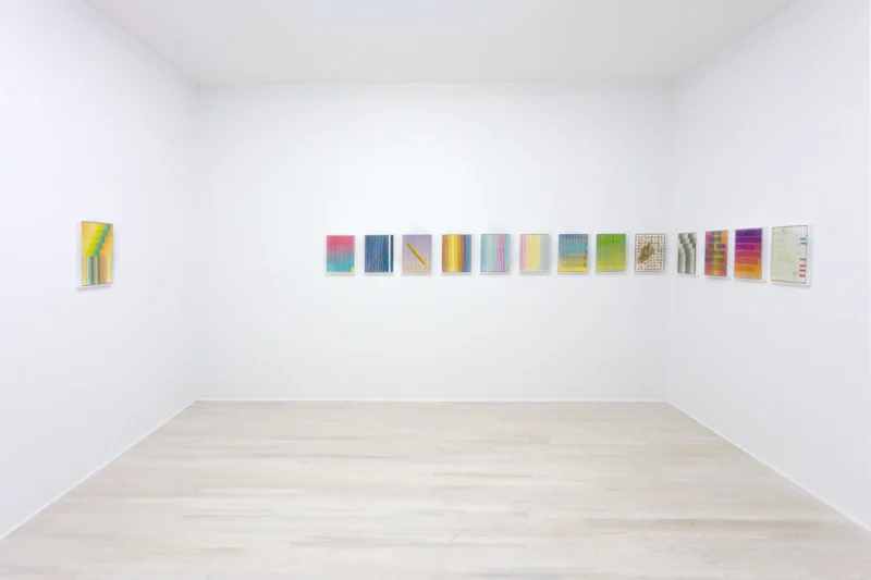 Installation shot from Sara Greenberger Rafferty: New Work, @ Halsey McKay Gallery