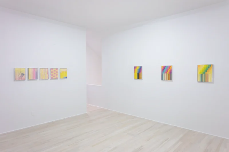 Installation shot from Sara Greenberger Rafferty: New Work, @ Halsey McKay Gallery