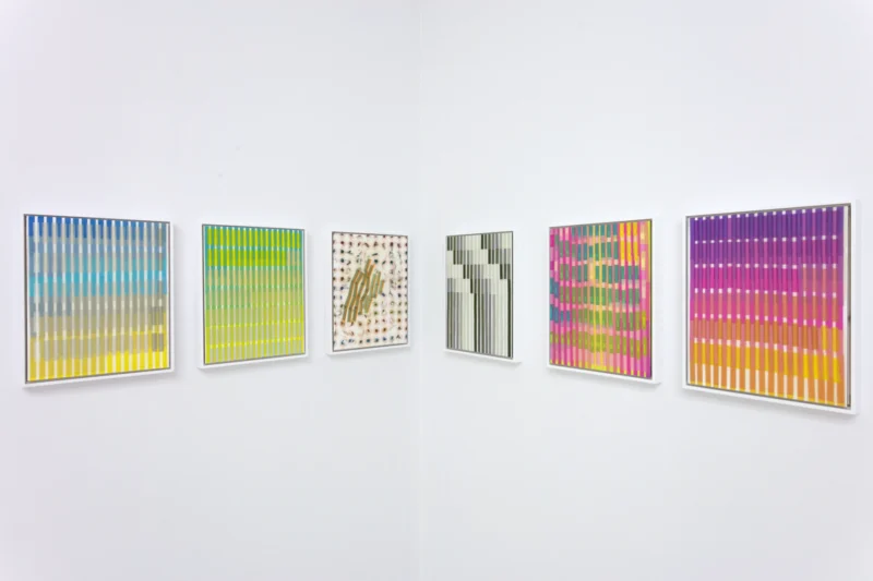 Installation shot from Sara Greenberger Rafferty: New Work, @ Halsey McKay Gallery