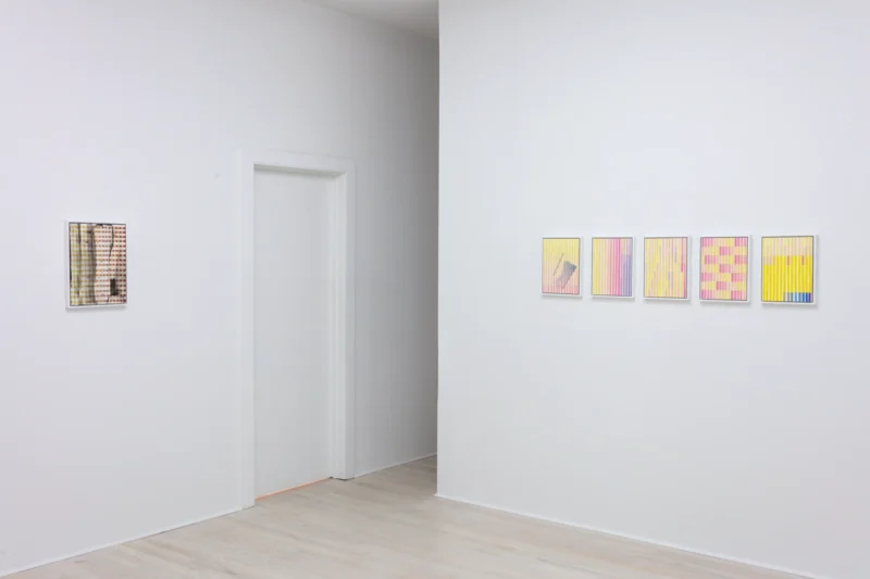 Installation shot from Sara Greenberger Rafferty: New Work, @ Halsey McKay Gallery