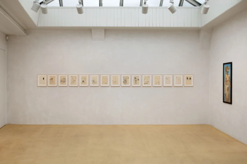 Installation shot from Irène Zurkinden, @ Hauser & Wirth