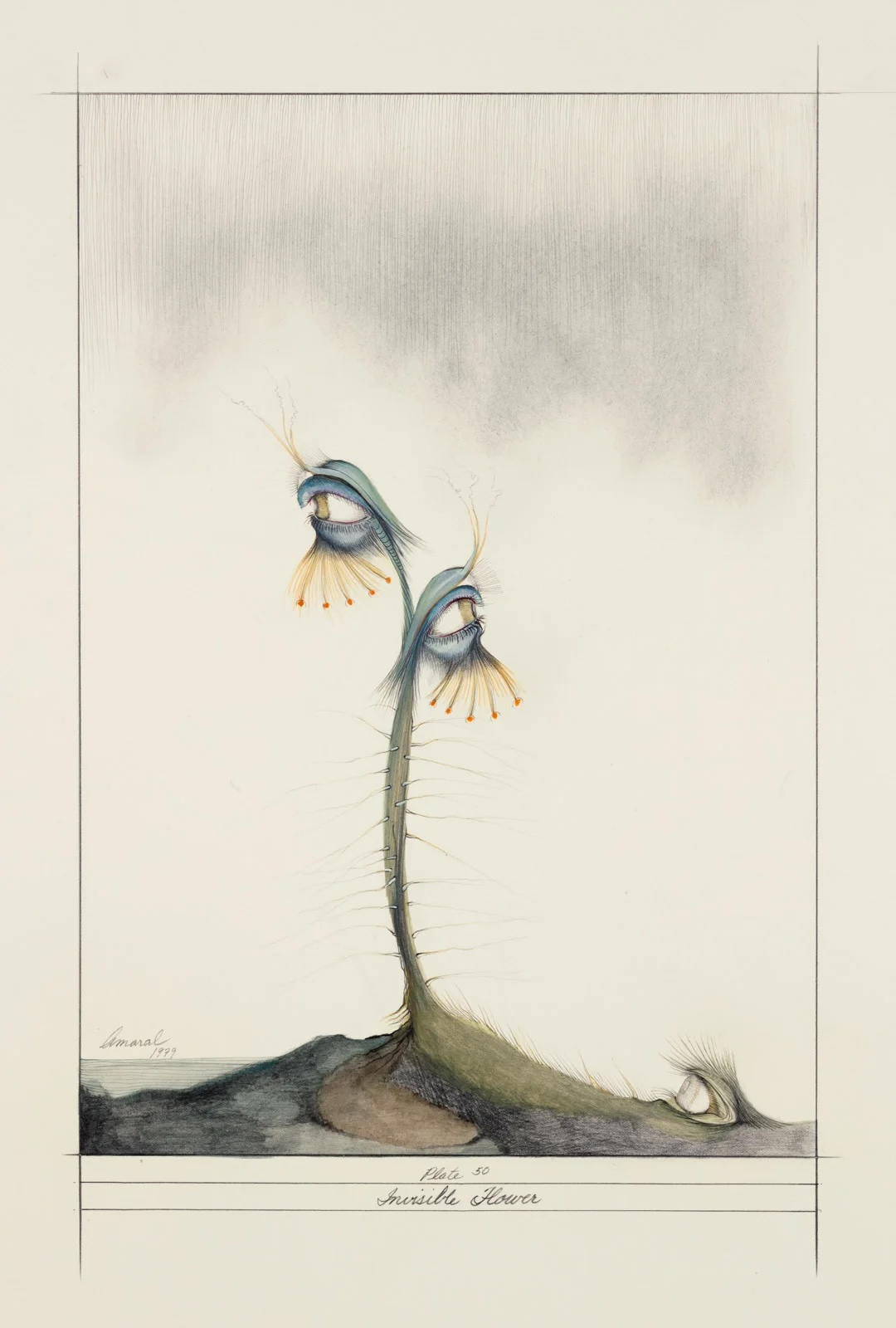 Image for Jim Amaral: A Study of Five Decades, at LAMB