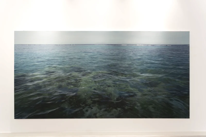 Installation shot from Stephan Kaluza: From Dust to Bloom, @ JD Malat Gallery