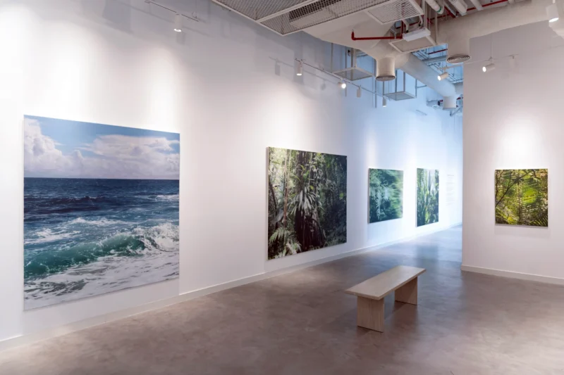 Installation shot from Stephan Kaluza: From Dust to Bloom, @ JD Malat Gallery