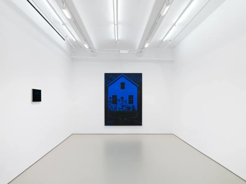 Installation shot from Becky Suss: Night House, @ Jack Shainman Gallery