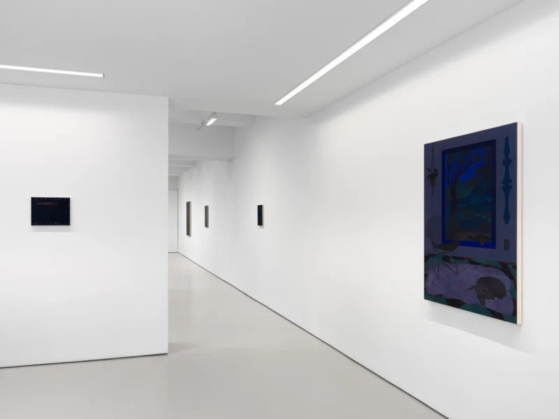 Installation shot from Becky Suss: Night House, @ Jack Shainman Gallery