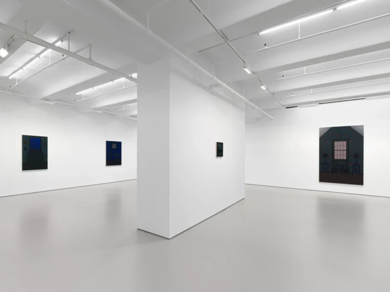Installation shot from Becky Suss: Night House, @ Jack Shainman Gallery