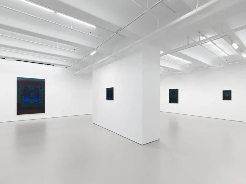 Installation shot from Becky Suss: Night House, @ Jack Shainman Gallery