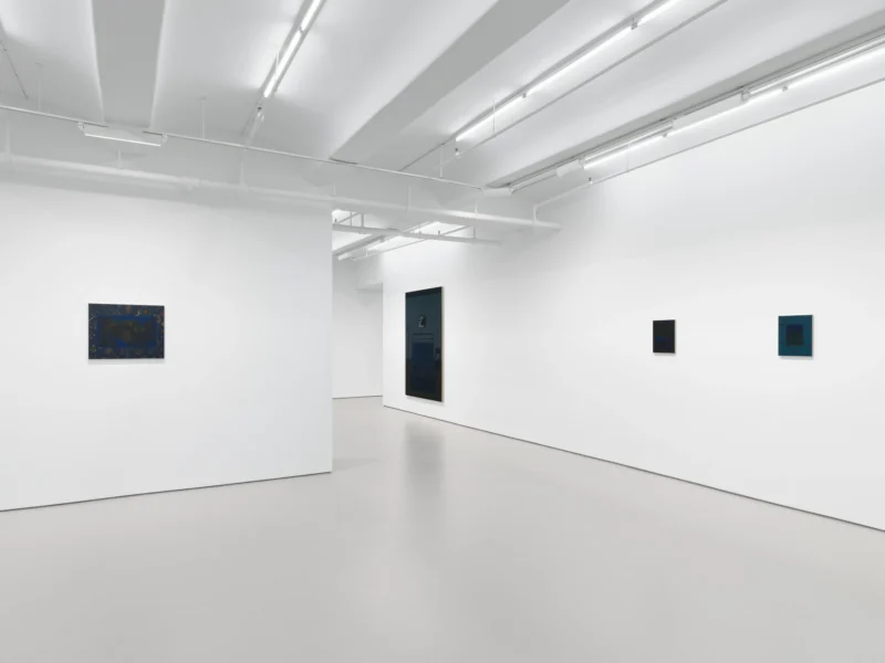 Installation shot from Becky Suss: Night House, @ Jack Shainman Gallery