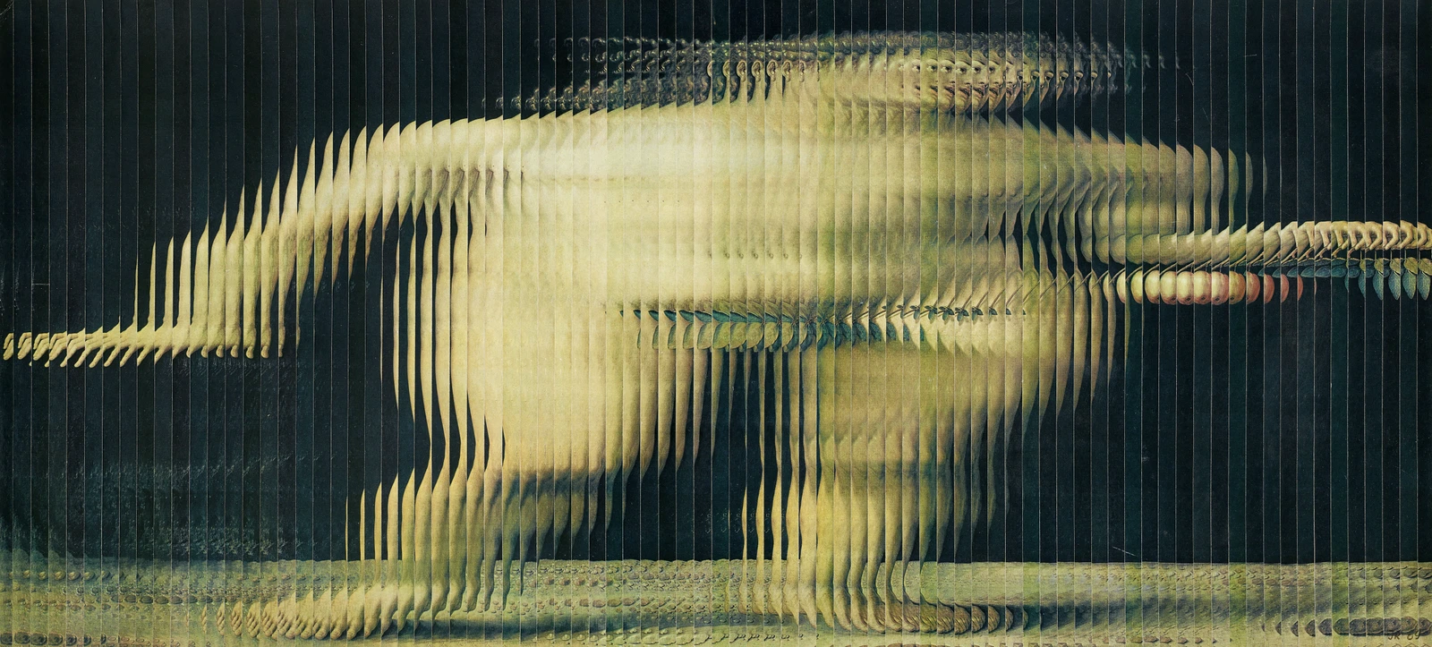Image for Jiří Kolář: Revolutionizing Collage, at galerie gmurzynska