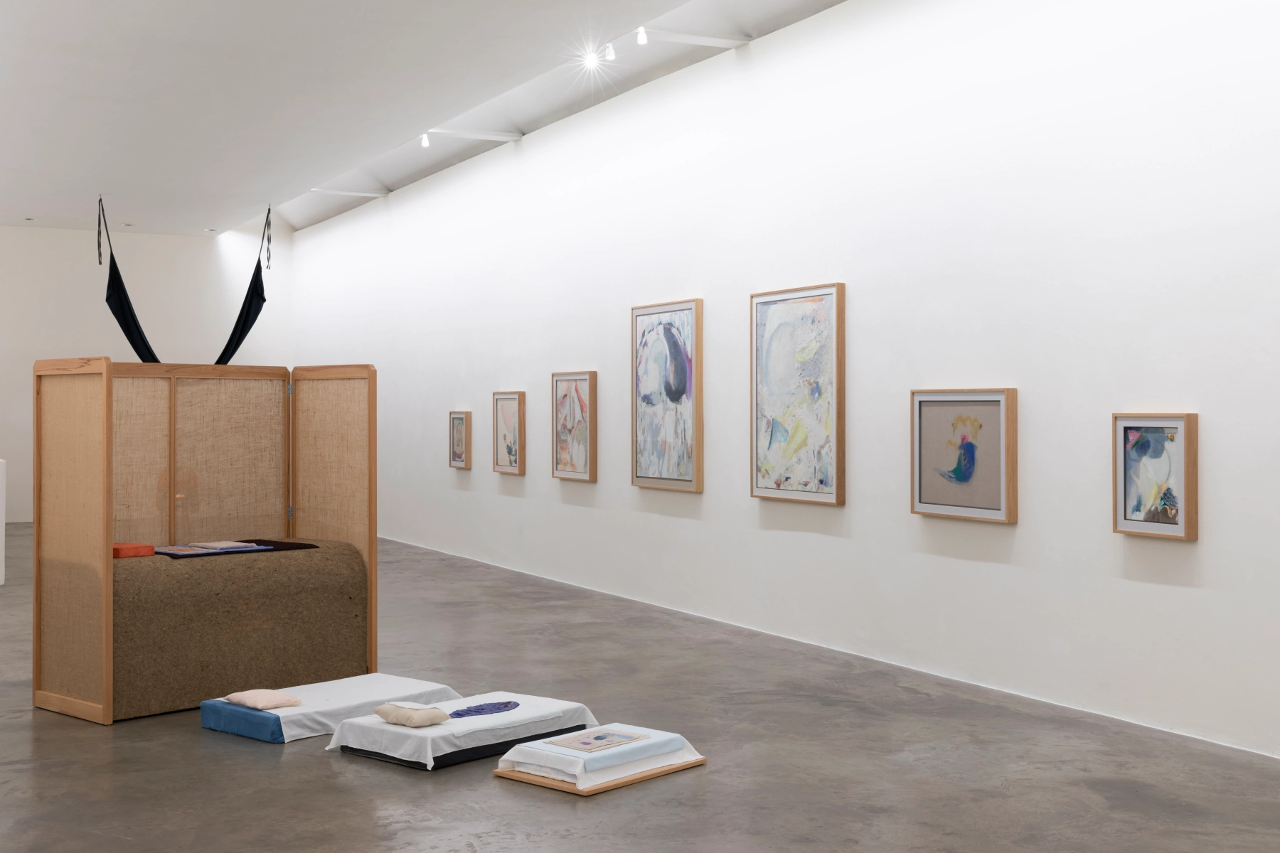 Image for Aleana Egan: dove passages, at Kerlin Gallery