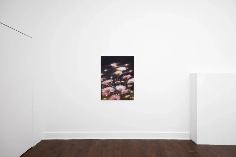 Installation shot from Lawrence Perry: Careless Rapture, @ LBF Contemporary