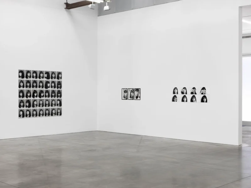 Installation shot from settle for a good fantasy, @ Luhring Augustine