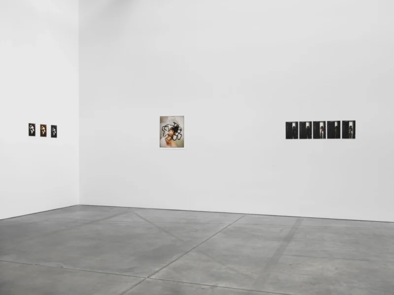 Installation shot from settle for a good fantasy, @ Luhring Augustine