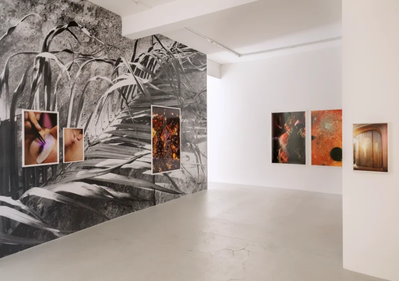 Installation shot from Anne Morgenstern: Sunset Sour, @ Lullin + Ferrari
