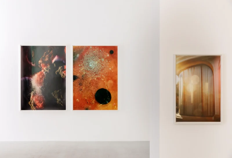 Installation shot from Anne Morgenstern: Sunset Sour, @ Lullin + Ferrari