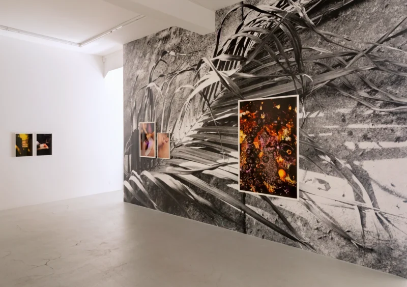 Installation shot from Anne Morgenstern: Sunset Sour, @ Lullin + Ferrari