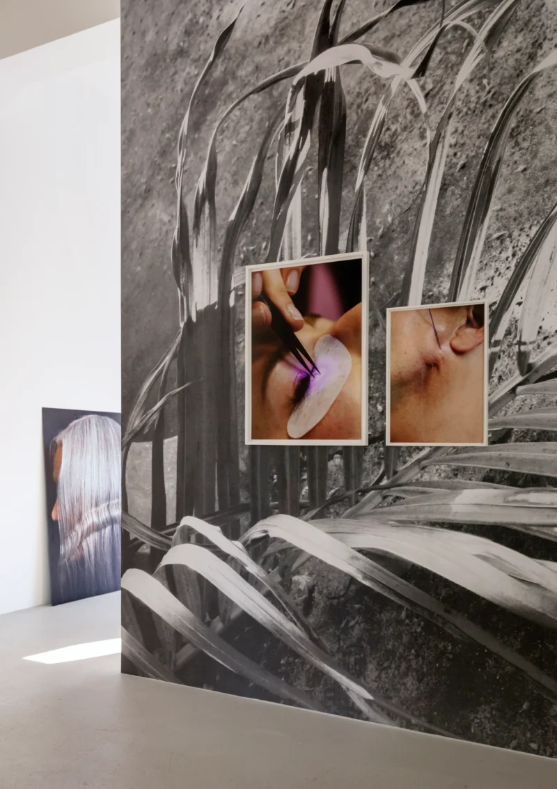 Installation shot from Anne Morgenstern: Sunset Sour, @ Lullin + Ferrari