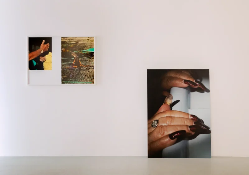 Installation shot from Anne Morgenstern: Sunset Sour, @ Lullin + Ferrari