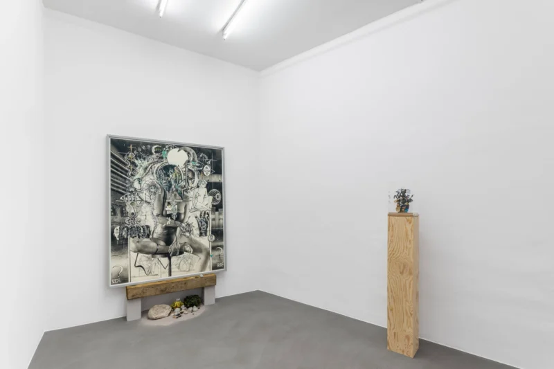 Installation shot from Hiroki Tsukuda: Inferno, @ Mai 36 Galerie
