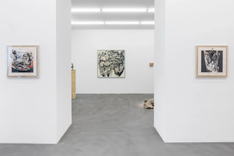 Installation shot from Hiroki Tsukuda: Inferno, @ Mai 36 Galerie