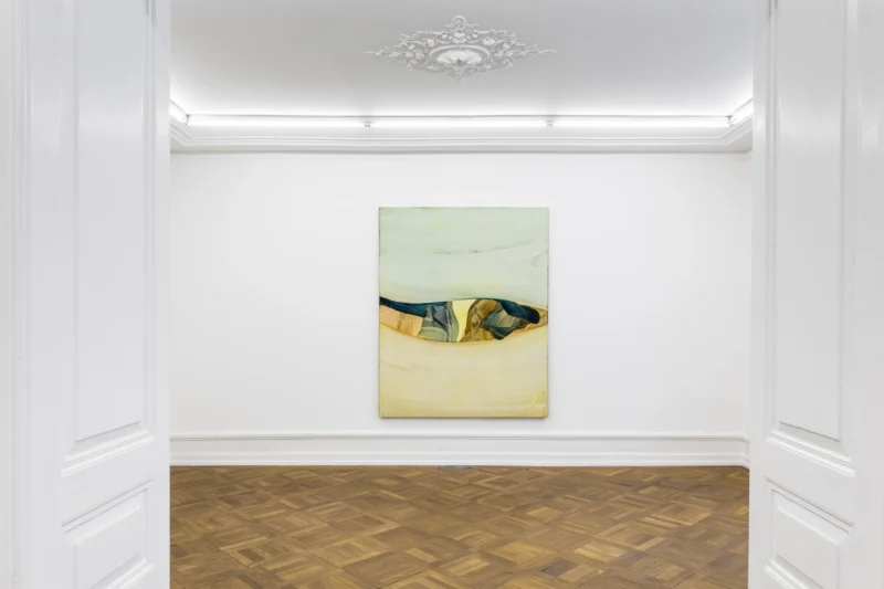 Installation shot from Markus Saile: False Horizon, @ Mai 36 Galerie