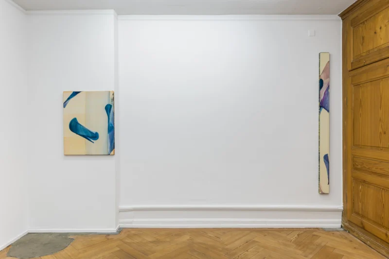 Installation shot from Markus Saile: False Horizon, @ Mai 36 Galerie