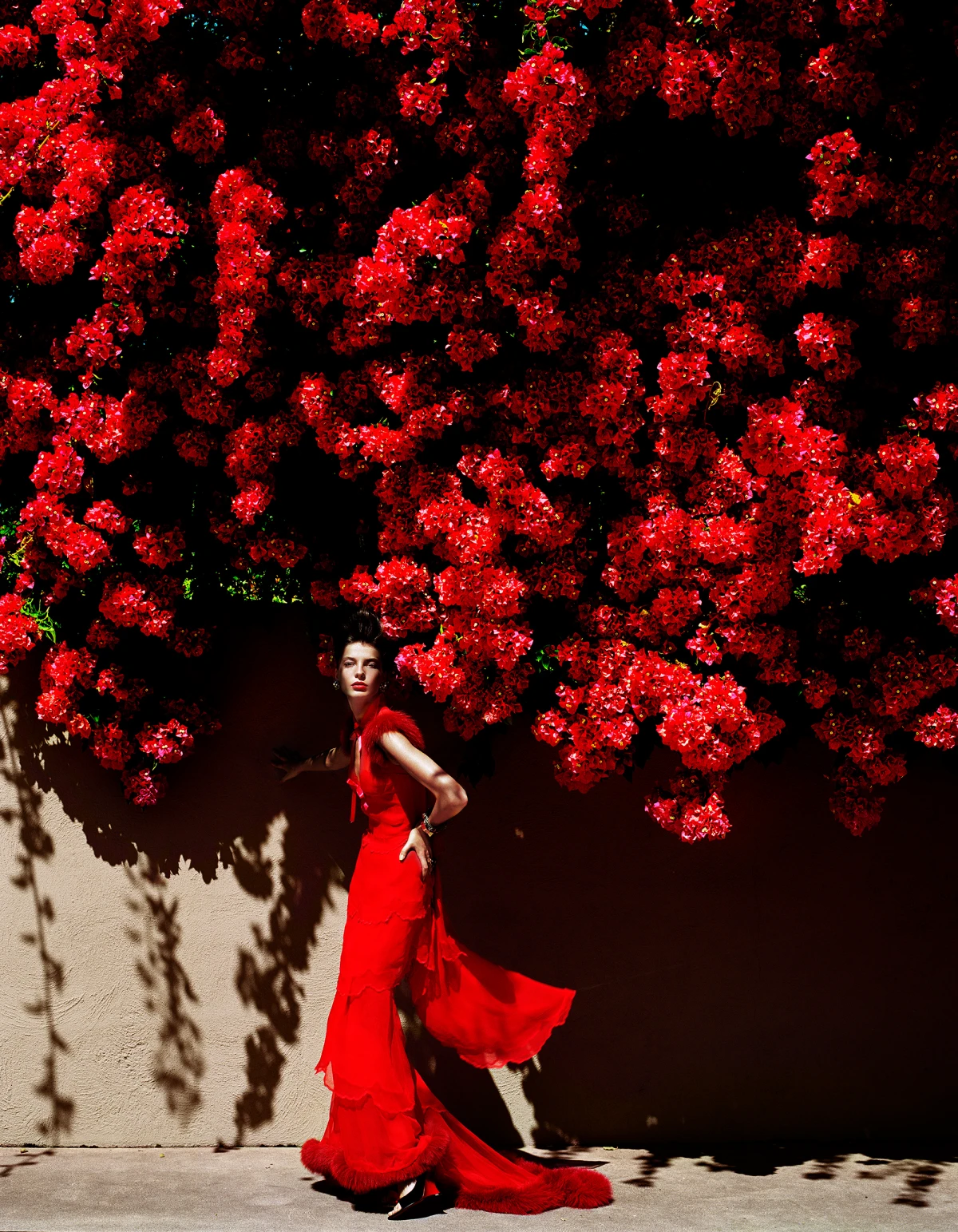 Image for Mario Testino, at Patricia Low Venezia