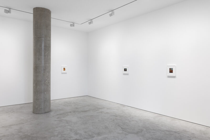 Installation shot from Somaya Critchlow: Pastels, @ Maximillian William