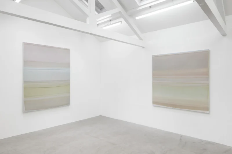 Installation shot from Sawako Nasu: Curved Horizon, @ NISO