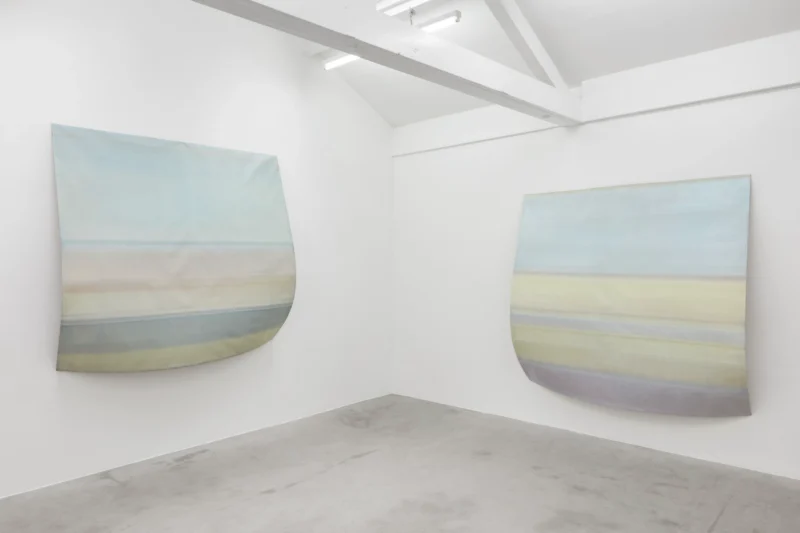 Installation shot from Sawako Nasu: Curved Horizon, @ NISO