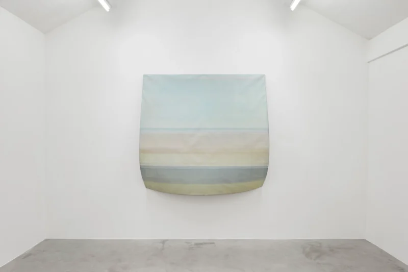 Installation shot from Sawako Nasu: Curved Horizon, @ NISO