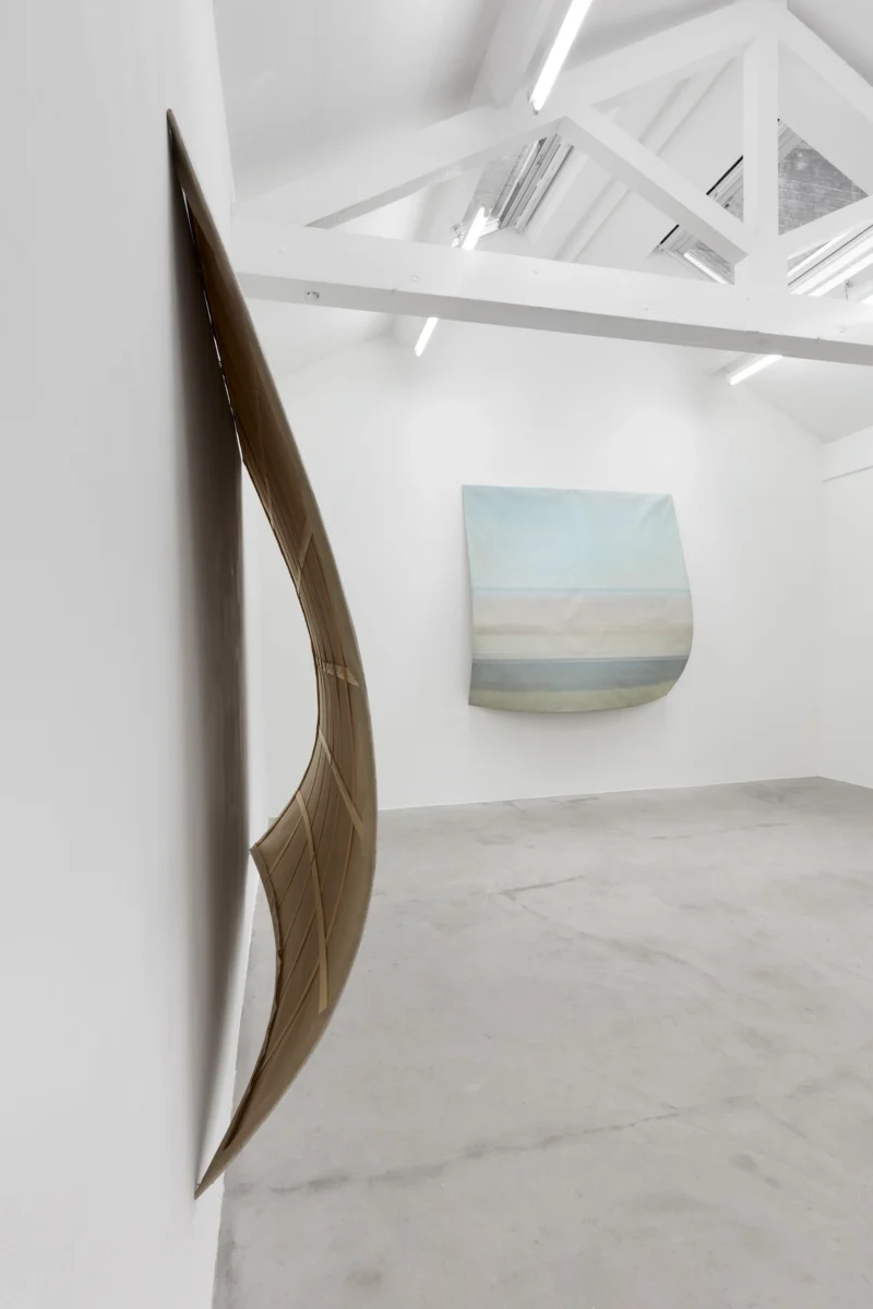Installation shot from Sawako Nasu: Curved Horizon, @ NISO
