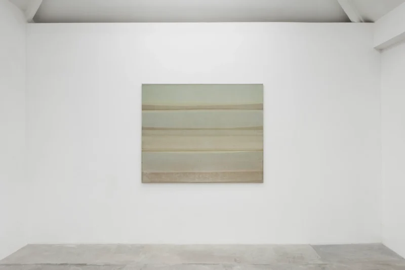 Installation shot from Sawako Nasu: Curved Horizon, @ NISO