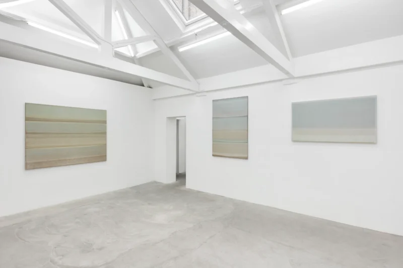 Installation shot from Sawako Nasu: Curved Horizon, @ NISO
