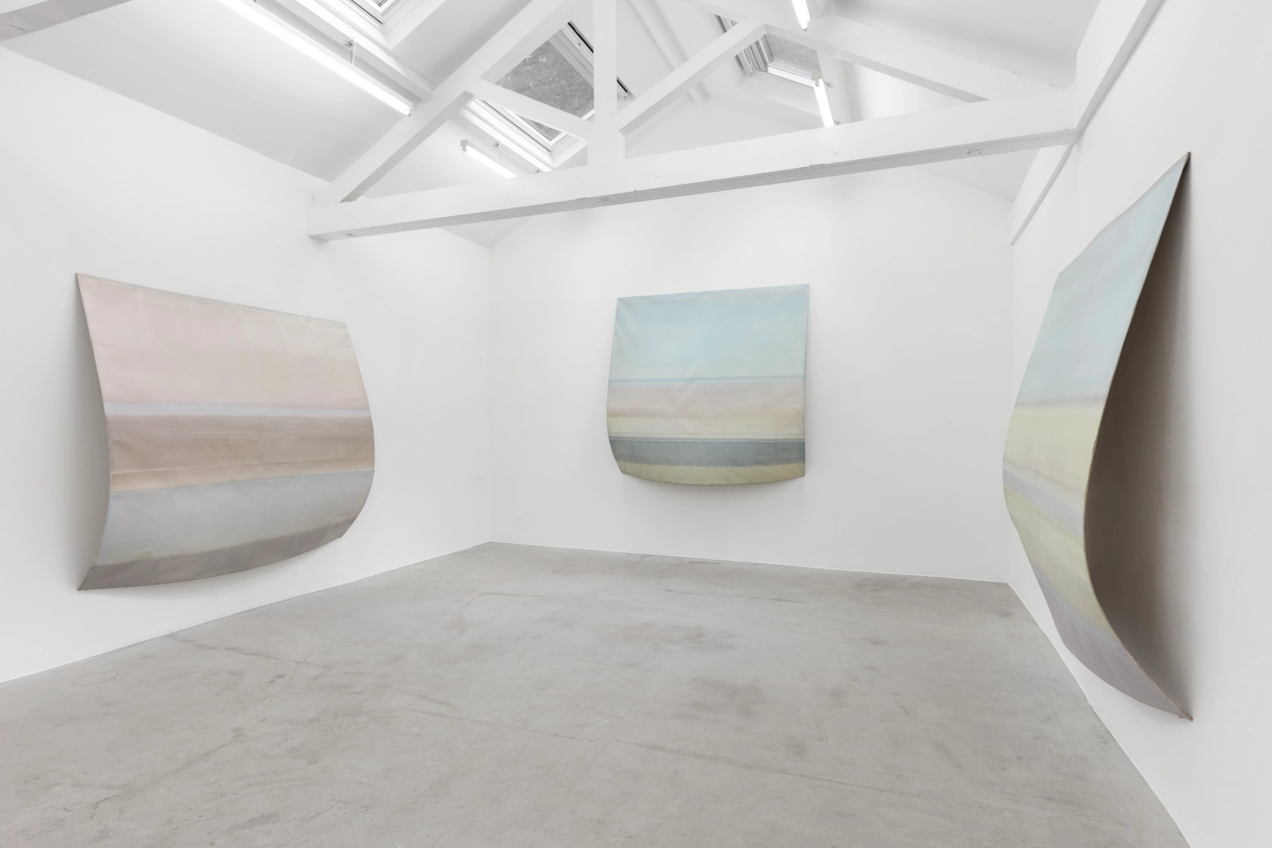 Image for Sawako Nasu: Curved Horizon, at NISO