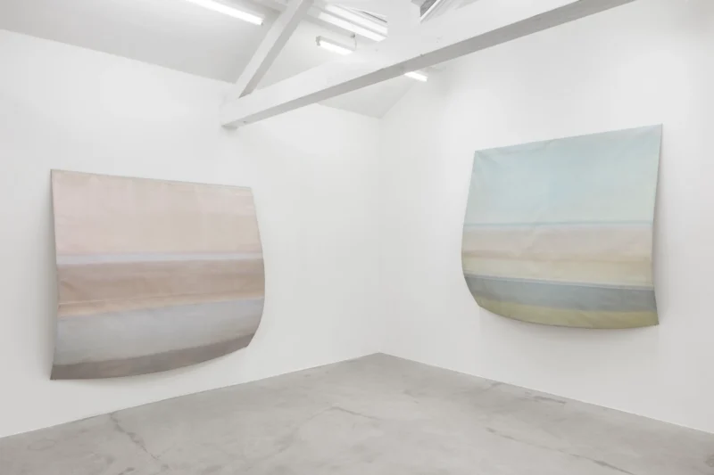 Installation shot from Sawako Nasu: Curved Horizon, @ NISO