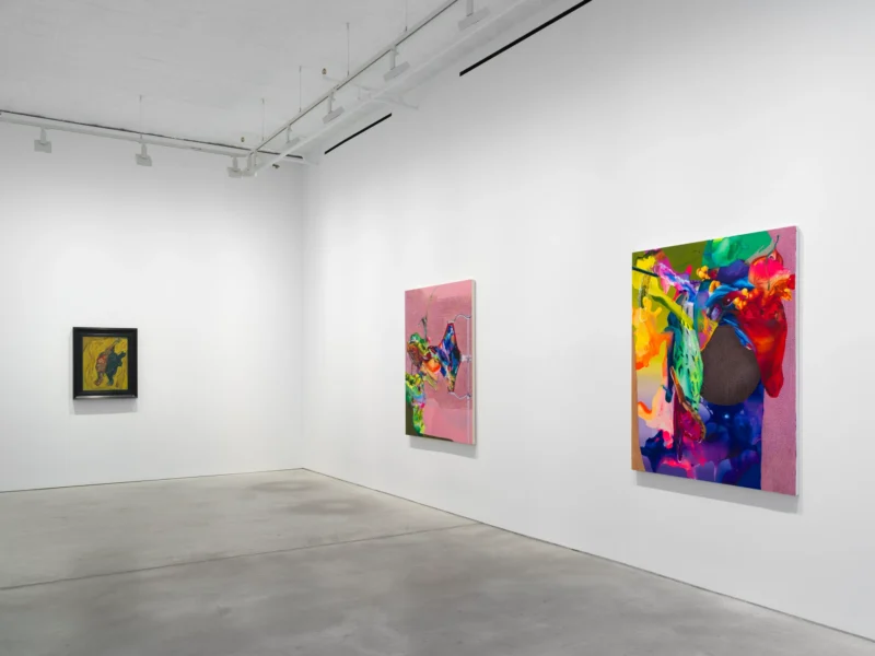 Installation shot from Savdie / Soutine, @ NORR COHAN