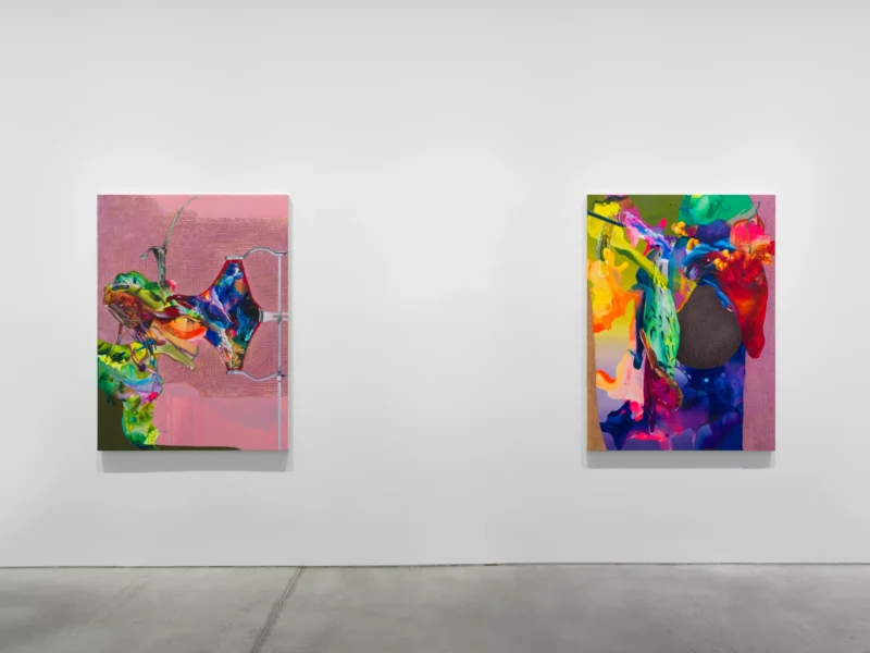 Installation shot from Savdie / Soutine, @ NORR COHAN