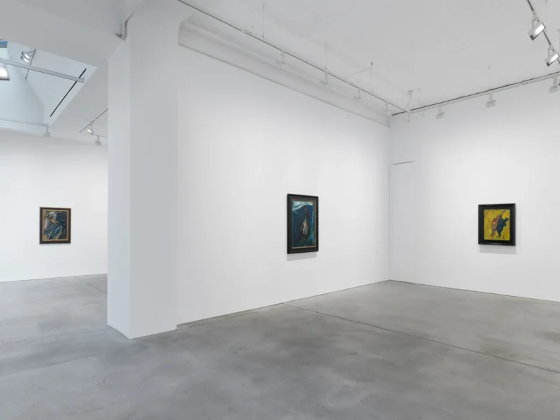 Installation shot from Savdie / Soutine, @ NORR COHAN