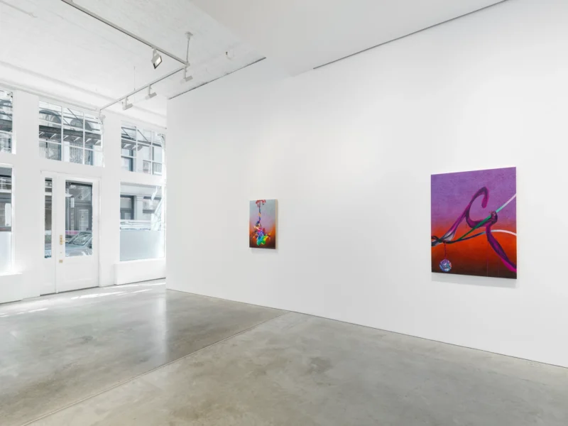 Installation shot from Savdie / Soutine, @ NORR COHAN
