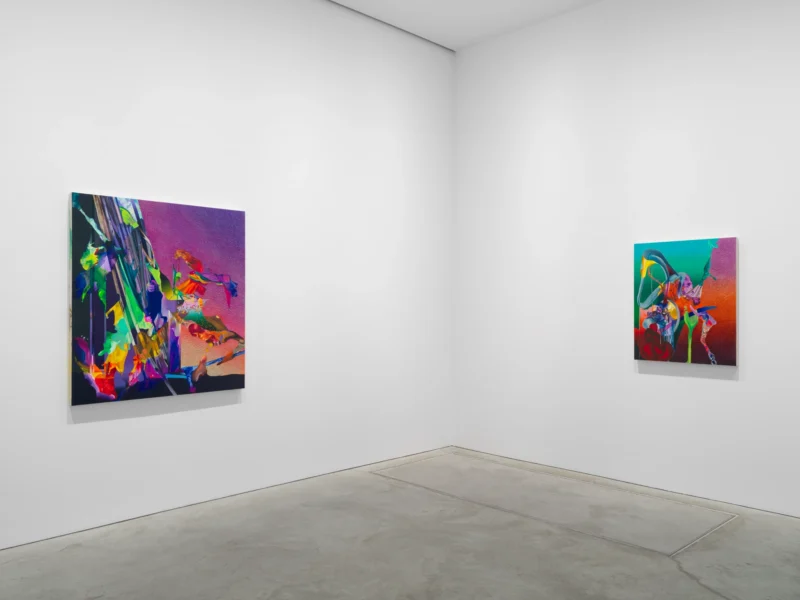 Installation shot from Savdie / Soutine, @ NORR COHAN